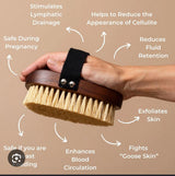 Natural Bristle Dry Body Brush — Exfoliating Massage Brush for Smooth, Glowing Skin