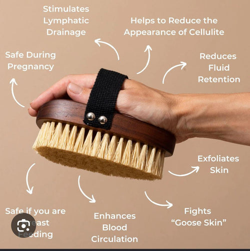 Natural Bristle Dry Body Brush — Exfoliating Massage Brush for Smooth, Glowing Skin